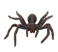 Maqulae Modèle D'insecte de Simulation, Jouet éducatif Réaliste de Figurine Animale en PVC pour Les Enfants, avec Décoration de Fête d'halloween (PL127-846)