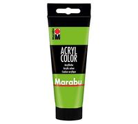 couleur acrylique acrylcolor, vert feuille, 100 ml 120150282