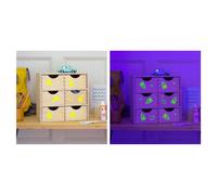 MARABU Peinture phosporescente fluo GLOW IN THE DARK DREAM