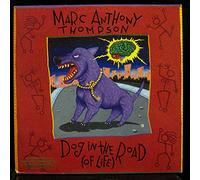 Marc Anthony Thompson - dog in the road (of life) 12