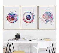 marca generica Oeil Anatomie Médicale Affiches et Gravures Optométriste Cadeau Ophtalmologie Médecine Mur Art Toile Peinture Photos Clinique Décoration Sans Cadre-50x70cmx3