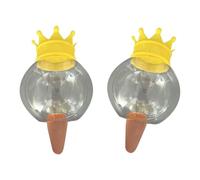 MARCBUSE Lot de 2 globes d'arrosage automatique en forme de cœur pour plantes et fleurs