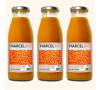 Marcel Bio - Soupe Lentilles Corail Patate Douce Curry Bio 48cl - Pack de 3