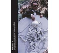 Marcel Maze: The Forces of Shadow and Light ( Les trois offrandes / Les Metaphores d'Alex / Le Rituel de Fontainebleau / Le Veau d'Or ) ( Marcel Maze: Le [ NON-USA FORMAT, PAL, Reg.0 Import - Fra