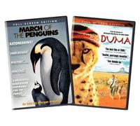 March of The Penguins & Duma