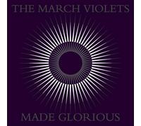 March Violets - Made Glorious