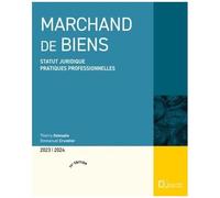 Thierry Delesalle – Marchand de biens – Statut juridique, pratiques professionnelles