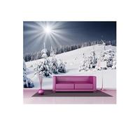 Marchepied / Marchepied à rouleaux TIO-M II métal gris foncé