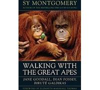 Marcher avec les grands singes : Jane Goodall, Dian Fossey, Birute Galdikas