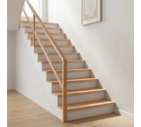 vidaXL Marches d'escalier 16 pièces 100 x 30 x 2 cm Marron