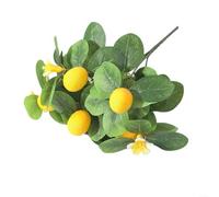 Marchfunny Branche de citron florale avec des proportions équilibrées et une forme organique pour suspendre une étagère murale et une décoration de verdure