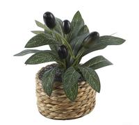 Marchfunny Petit olivier artificiel en pot pour décoration intérieure Feuillage tissé en plastique vert pour bureau, étagère, salon