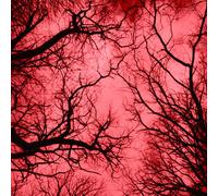 Marco Colonna Red Planet (CD)