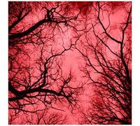 Marco Colonna – Red Planet – CD