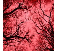 Marco Colonna - Red Planet [New CD]