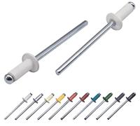 Marcopol Lot de 100 rivets aveugles peints 4,0 x 8 mm, tête bombée, DIN 7337, rivets en aluminium et mandrin en acier, rivets pop (100, blanc pur RAL 9010)