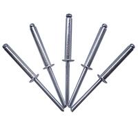 Marcopol Lot de 50 rivets aveugles 5,0 x 30 mm, tête bombée ouverte, DIN 7337, rivets en acier et mandrin en acier (50, 5,0 x 30 mm) Argenté