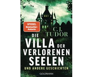 Marcus Ingendaa Die Villa der verlorenen Seelen und andere Geschichten: (Poche)