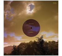 Marcus Schmickler - Sky Dice / Mapping The Studio [Vinyl]