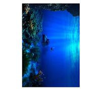 Mare of The Marino World Se Retire, Adhésif pour des Raisons du Monde Marin, Facile à Attaquer et à Nettoyer, Idéal pour la Décoration Aquariums et Aquariums (91 * 50CM)