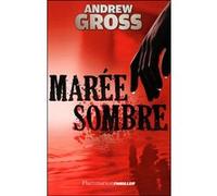Andrew Gross – Marée sombre – Roman – broché (Flammarion)