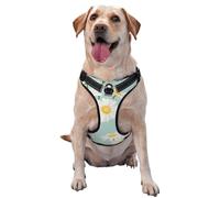Marguerite Fleur luxuriante Floral,Harnais pour Animaux de Compagnie, Harnais réfléchissant réglable pour Chien,L