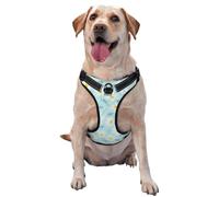 Marguerite Florale délicate Bleue et Blanche,Harnais pour Animaux de Compagnie, Harnais réfléchissant réglable pour Chien,XL