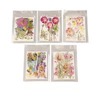Marhynchus Fleurs Pressées Fleurs Séchées Fleurs de Résine 100pcs Styles Assortis pour Bricolage Bijoux Nail Art en Résine Moule de Moisissure avec des Couleurs Vives (Type 2)