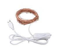 Marhynchus Guirlande Lumineuse USB 100 LED 10 M 32,8 Pi, Fil de Cuivre, Lumière Chaude, sans Danger au Toucher, pour Décoration Extérieure Festive, avec Interrupteur pour économiser L'énergie