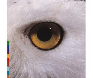 Mari Boine Persen - Gula Gula [UK Import]