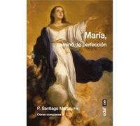 María, Camino De Perfección - [Livre en VO] Martín, Santiago (Auteur)
