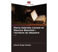 Maria Gabriela Llansol Et Maurice Blanchot : L'écriture Du Désastre