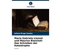 Maria Gabriela Llansol Und Maurice Blanchot: Das Schreiben Der Katastrophe