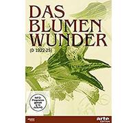 Das Blumenwunder – Maria Solveg, Elisabeth Grube, Daisy Spiess – DVD – Édition importée