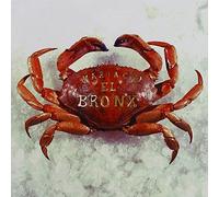 None - Mariachi El Bronx (I)