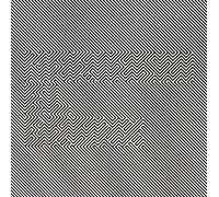 Mariachi El Bronx (III)