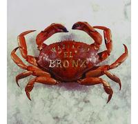 Mariachi El Bronx – Mariachi El Bronx (I) – CD