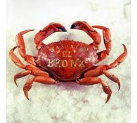 None - Mariachi El Bronx (I)