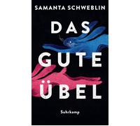 Marianne Gareis Das gute Übel: Erzählungen Gestochen scharfe Horrorges (Relié)