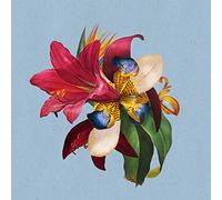 Maribou State - Feel Good Ft Khruangbin Maribou State 12 [Import]