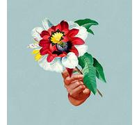 MARIBOU STATE - Kingdoms In Colour