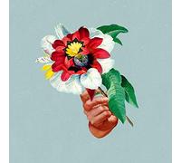 Maribou State - Kingdoms in Colour (Vinyl Color)