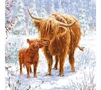 Marie Curie Lot de 10 cartes de Noël Charity Highland avec enveloppes, 14 x 14 cm, carton FSC, fabriquées au Royaume-Uni