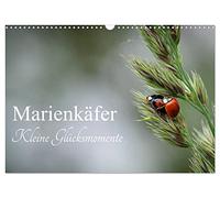 Marienkäfer - kleine Glücksmomente (Wandkalender 2026 DIN A3 quer), CALVENDO Monatskalender: Jedes Kind kennt sie, diese kleinen Glückskäfer und sie z ... ein Lächeln ins Gesicht, wenn ich sie sehe.