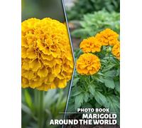 Marigold Around The World Photo Book