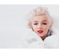 Marilyn Monroe WDC94179 Toile Imprimée, Multicolore, 40 x 50 cm