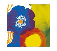 Marimekko Set de 20 serviettes Juhannustaika 33x33 cm Blue-yellow-red