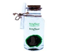 Marimo 2 - 4 cm en pot de verre de 250 ml - Plante de l'amour.