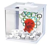 Marina Aquarium pour Aquariophilie Betta EZ Care Blanc