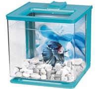 Marina Betta EZ Care Bettera, 2,5 l, bleu